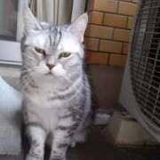 ヒメ日記 2025/12/30 12:12 投稿 ユーコ☆金津随一の神業テク ヴィーナス(金津園)