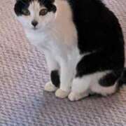 ヒメ日記 2025/12/31 17:33 投稿 ユーコ☆金津随一の神業テク ヴィーナス(金津園)