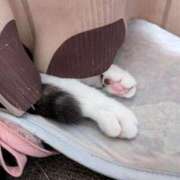 ヒメ日記 2026/01/03 12:12 投稿 ユーコ☆金津随一の神業テク ヴィーナス(金津園)