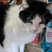 ヒメ日記 2026/01/05 18:33 投稿 ユーコ☆金津随一の神業テク ヴィーナス(金津園)