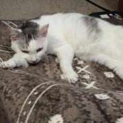 ヒメ日記 2026/01/06 18:48 投稿 ユーコ☆金津随一の神業テク ヴィーナス(金津園)