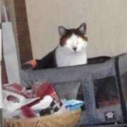 ヒメ日記 2026/01/07 17:57 投稿 ユーコ☆金津随一の神業テク ヴィーナス(金津園)