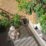 ヒメ日記 2026/01/09 18:06 投稿 ユーコ☆金津随一の神業テク ヴィーナス(金津園)