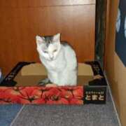 ヒメ日記 2026/01/11 20:30 投稿 ユーコ☆金津随一の神業テク ヴィーナス(金津園)