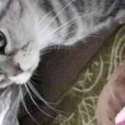 ヒメ日記 2026/01/11 20:45 投稿 ユーコ☆金津随一の神業テク ヴィーナス(金津園)