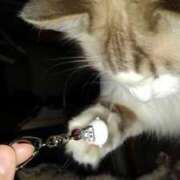 ヒメ日記 2026/01/12 17:33 投稿 ユーコ☆金津随一の神業テク ヴィーナス(金津園)