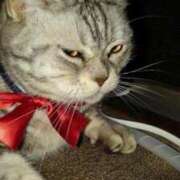 ヒメ日記 2026/01/14 18:45 投稿 ユーコ☆金津随一の神業テク ヴィーナス(金津園)