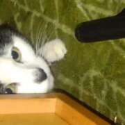 ヒメ日記 2026/01/17 12:21 投稿 ユーコ☆金津随一の神業テク ヴィーナス(金津園)