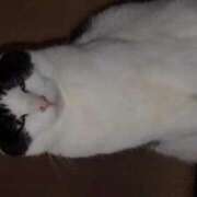 ヒメ日記 2026/01/18 21:45 投稿 ユーコ☆金津随一の神業テク ヴィーナス(金津園)