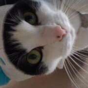 ヒメ日記 2026/01/19 18:06 投稿 ユーコ☆金津随一の神業テク ヴィーナス(金津園)