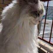 ヒメ日記 2026/01/21 18:45 投稿 ユーコ☆金津随一の神業テク ヴィーナス(金津園)