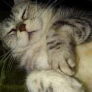 ヒメ日記 2026/01/23 18:36 投稿 ユーコ☆金津随一の神業テク ヴィーナス(金津園)