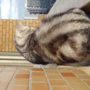 ヒメ日記 2026/01/27 19:06 投稿 ユーコ☆金津随一の神業テク ヴィーナス(金津園)