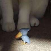 ヒメ日記 2026/01/28 20:54 投稿 ユーコ☆金津随一の神業テク ヴィーナス(金津園)