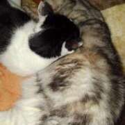 ヒメ日記 2026/01/31 12:15 投稿 ユーコ☆金津随一の神業テク ヴィーナス(金津園)