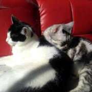 ヒメ日記 2026/02/01 12:21 投稿 ユーコ☆金津随一の神業テク ヴィーナス(金津園)