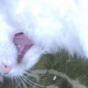 ヒメ日記 2026/02/01 21:30 投稿 ユーコ☆金津随一の神業テク ヴィーナス(金津園)