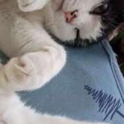 ヒメ日記 2026/02/02 18:36 投稿 ユーコ☆金津随一の神業テク ヴィーナス(金津園)