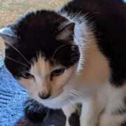 ヒメ日記 2026/02/07 12:12 投稿 ユーコ☆金津随一の神業テク ヴィーナス(金津園)