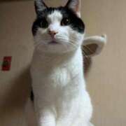 ヒメ日記 2026/02/07 21:33 投稿 ユーコ☆金津随一の神業テク ヴィーナス(金津園)