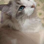 ヒメ日記 2026/02/08 20:12 投稿 ユーコ☆金津随一の神業テク ヴィーナス(金津園)