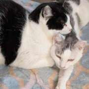 ヒメ日記 2026/02/10 18:42 投稿 ユーコ☆金津随一の神業テク ヴィーナス(金津園)