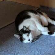 ヒメ日記 2026/02/13 18:33 投稿 ユーコ☆金津随一の神業テク ヴィーナス(金津園)