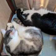 ヒメ日記 2026/02/16 18:21 投稿 ユーコ☆金津随一の神業テク ヴィーナス(金津園)