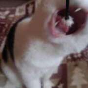 ヒメ日記 2026/02/18 18:33 投稿 ユーコ☆金津随一の神業テク ヴィーナス(金津園)