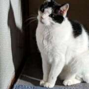 ヒメ日記 2026/02/19 12:18 投稿 ユーコ☆金津随一の神業テク ヴィーナス(金津園)