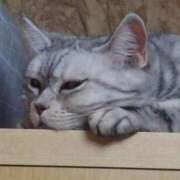 ヒメ日記 2026/02/21 12:18 投稿 ユーコ☆金津随一の神業テク ヴィーナス(金津園)