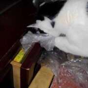 ヒメ日記 2026/02/21 12:33 投稿 ユーコ☆金津随一の神業テク ヴィーナス(金津園)