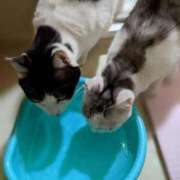 ヒメ日記 2026/02/22 20:18 投稿 ユーコ☆金津随一の神業テク ヴィーナス(金津園)