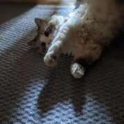 ヒメ日記 2026/02/23 18:33 投稿 ユーコ☆金津随一の神業テク ヴィーナス(金津園)