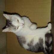 ヒメ日記 2026/02/24 19:12 投稿 ユーコ☆金津随一の神業テク ヴィーナス(金津園)