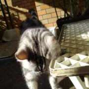 ヒメ日記 2026/02/25 20:03 投稿 ユーコ☆金津随一の神業テク ヴィーナス(金津園)