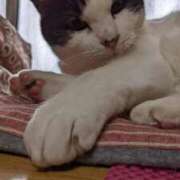 ヒメ日記 2026/02/26 19:12 投稿 ユーコ☆金津随一の神業テク ヴィーナス(金津園)