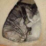 ヒメ日記 2026/02/28 21:36 投稿 ユーコ☆金津随一の神業テク ヴィーナス(金津園)