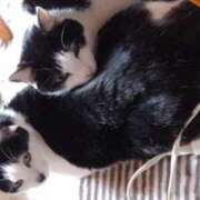 ヒメ日記 2026/03/01 12:06 投稿 ユーコ☆金津随一の神業テク ヴィーナス(金津園)