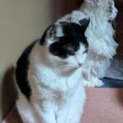 ヒメ日記 2026/03/01 21:33 投稿 ユーコ☆金津随一の神業テク ヴィーナス(金津園)