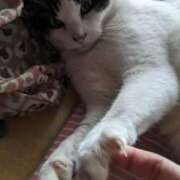 ヒメ日記 2026/03/02 18:57 投稿 ユーコ☆金津随一の神業テク ヴィーナス(金津園)