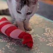 ヒメ日記 2026/03/04 12:19 投稿 ユーコ☆金津随一の神業テク ヴィーナス(金津園)