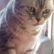 ユーコ☆金津随一の神業テク なすすべなし ヴィーナス(金津園)