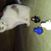 ユーコ☆金津随一の神業テク 汗かいて ヴィーナス(金津園)