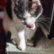 ヒメ日記 2026/03/09 18:18 投稿 ユーコ☆金津随一の神業テク ヴィーナス(金津園)