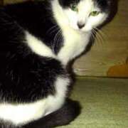 ヒメ日記 2026/03/10 18:12 投稿 ユーコ☆金津随一の神業テク ヴィーナス(金津園)