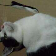 ヒメ日記 2026/03/13 18:42 投稿 ユーコ☆金津随一の神業テク ヴィーナス(金津園)