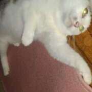 ヒメ日記 2026/03/14 12:18 投稿 ユーコ☆金津随一の神業テク ヴィーナス(金津園)