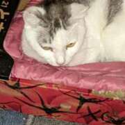 ヒメ日記 2026/03/15 12:12 投稿 ユーコ☆金津随一の神業テク ヴィーナス(金津園)