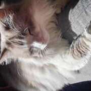 ヒメ日記 2026/03/17 18:03 投稿 ユーコ☆金津随一の神業テク ヴィーナス(金津園)